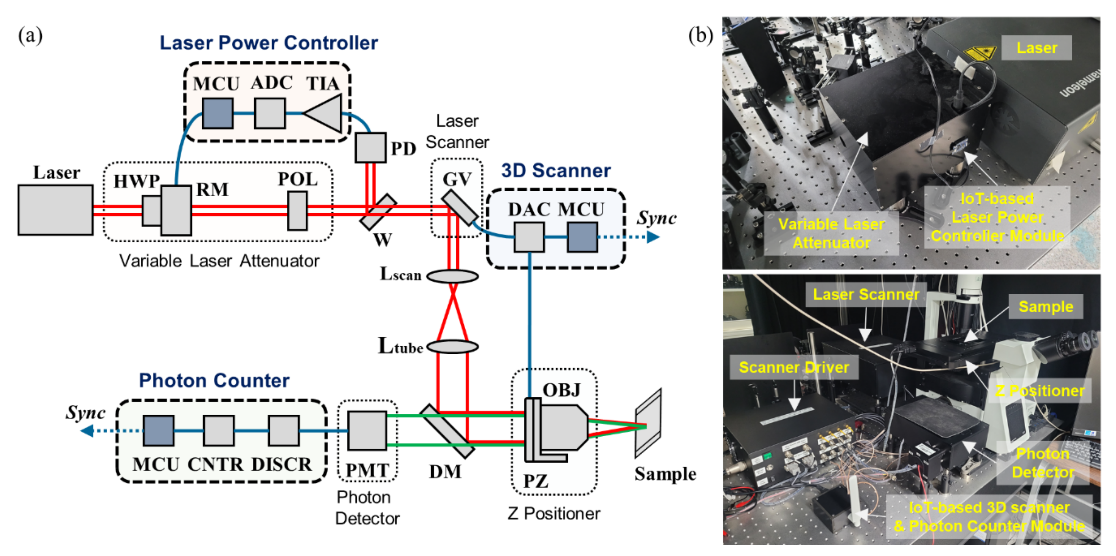 Sensors 21 01533 g001 Sensors 21 01533 g001