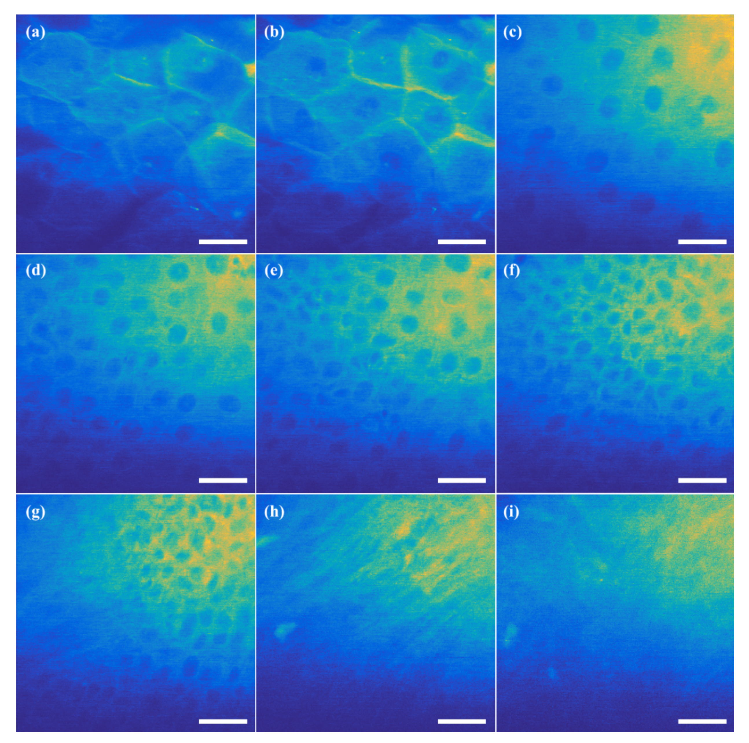 Sensors 21 01533 g010 Sensors 21 01533 g010