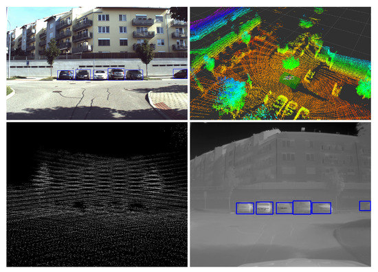 3d earthquake particle motion playback 3d earthquake particle motion playback