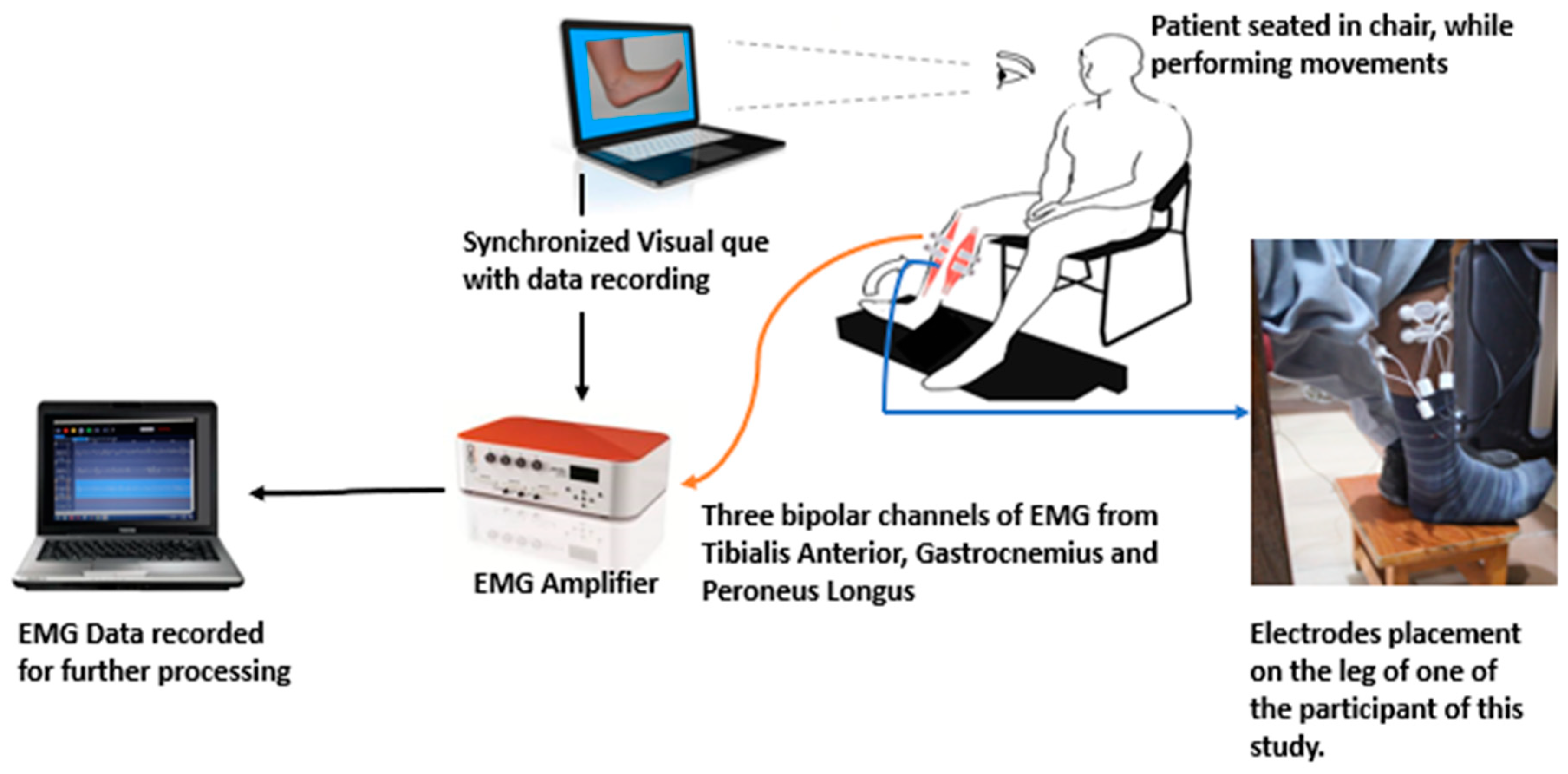 Sensors 21 01575 g001