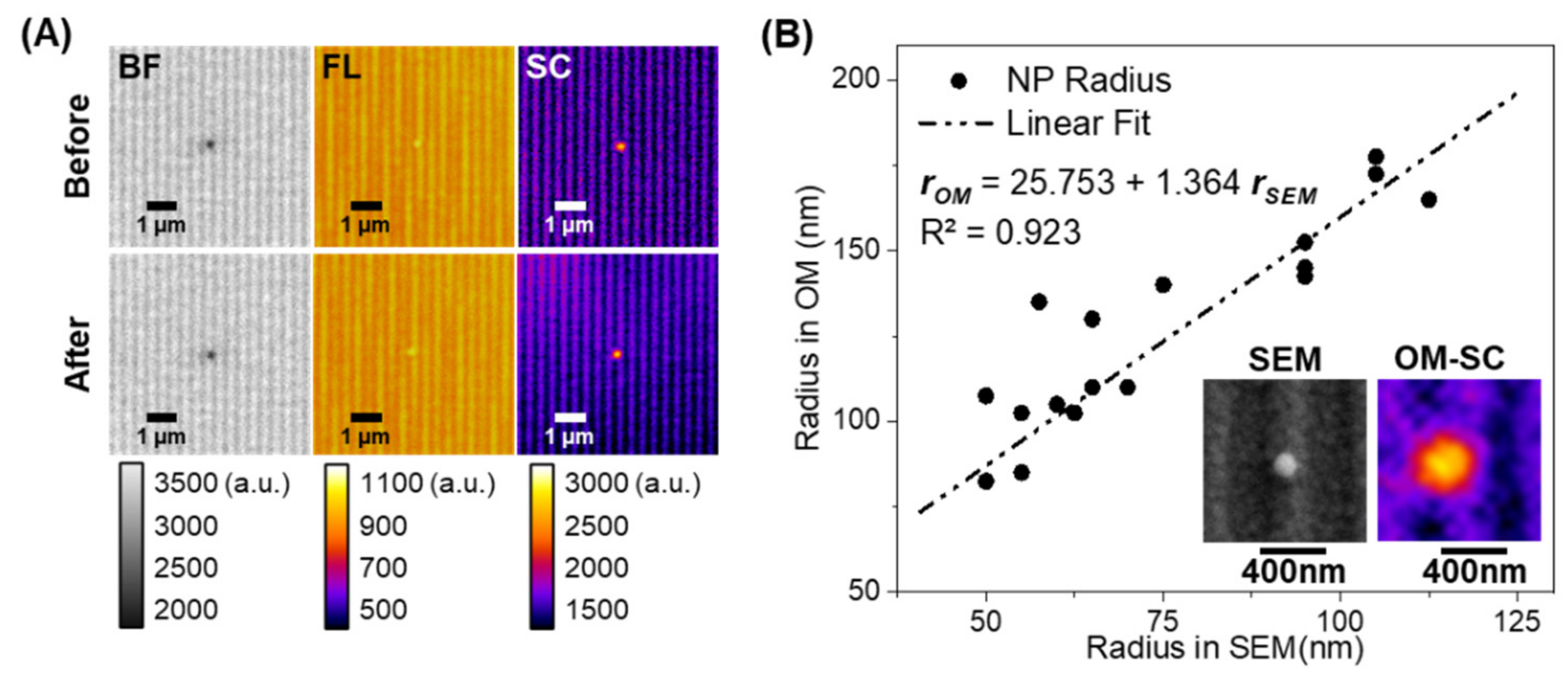 Sensors 21 01585 g003 Sensors 21 01585 g003