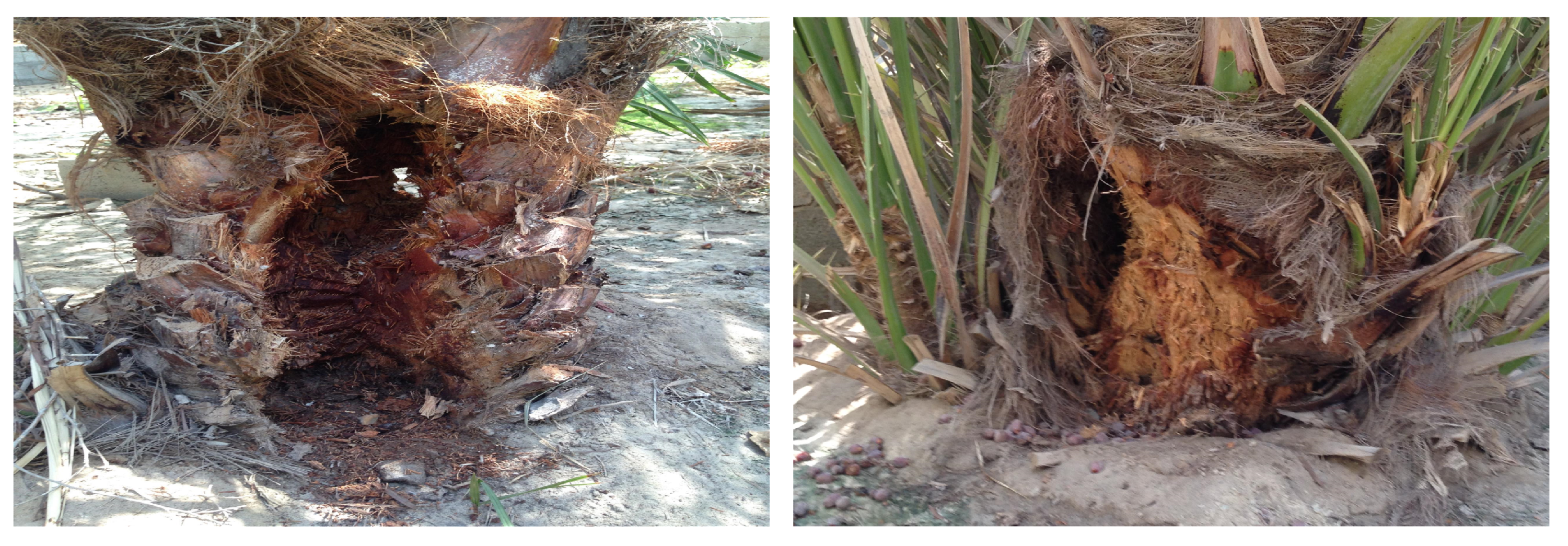 Sensors 21 01592 g001