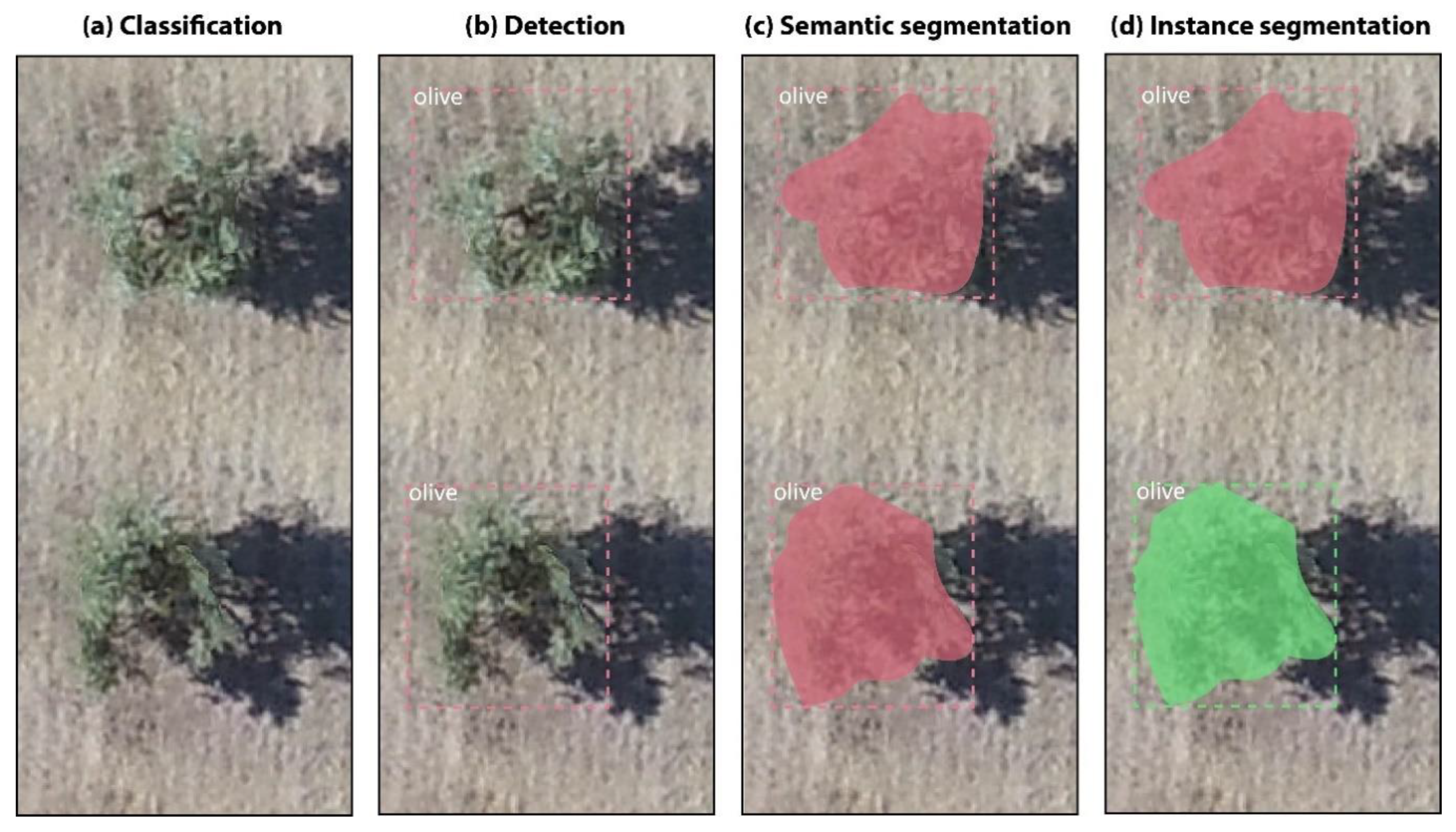 Sensors 21 01617 g001 Sensors 21 01617 g001
