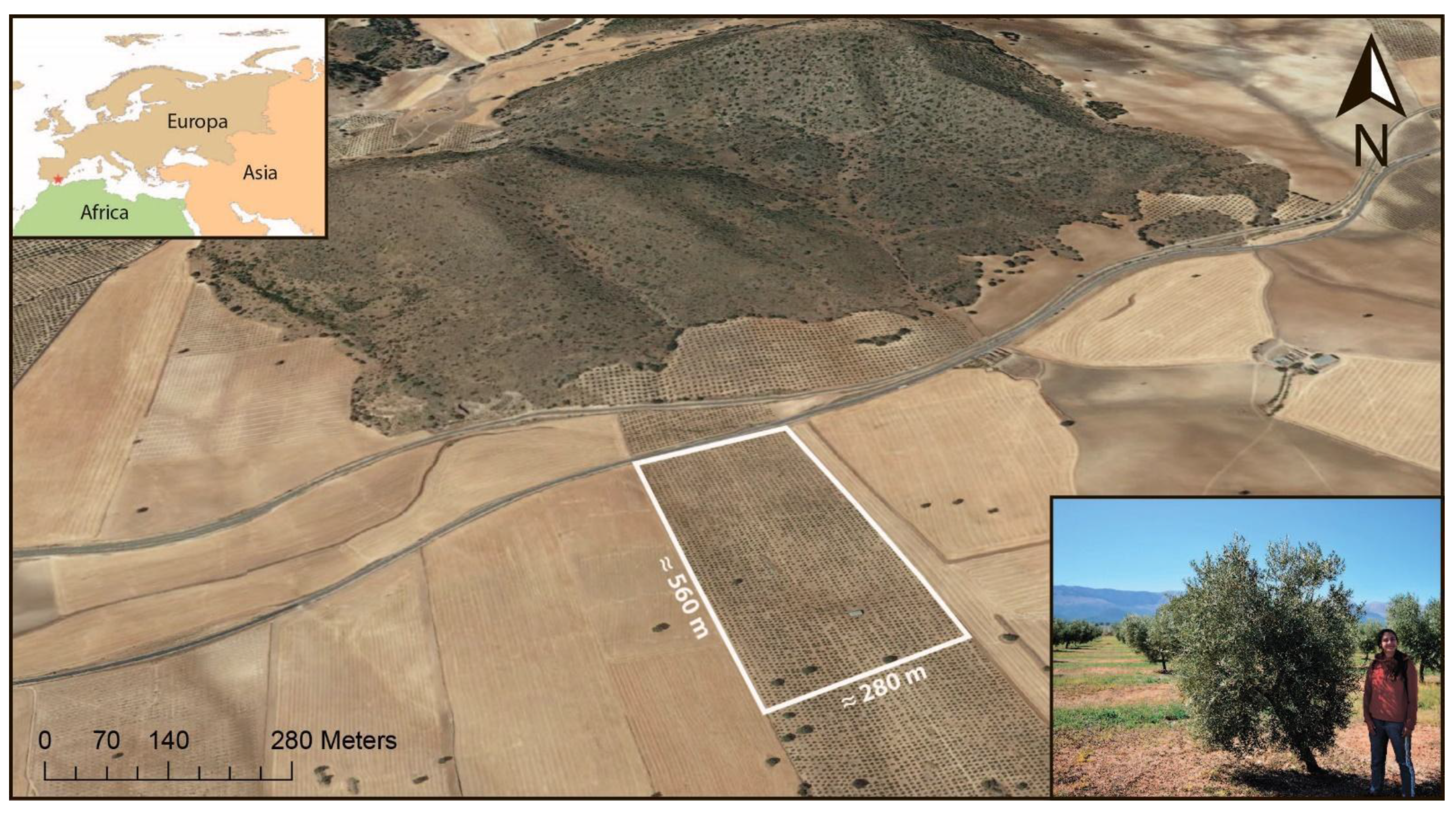 Sensors 21 01617 g002 Sensors 21 01617 g002