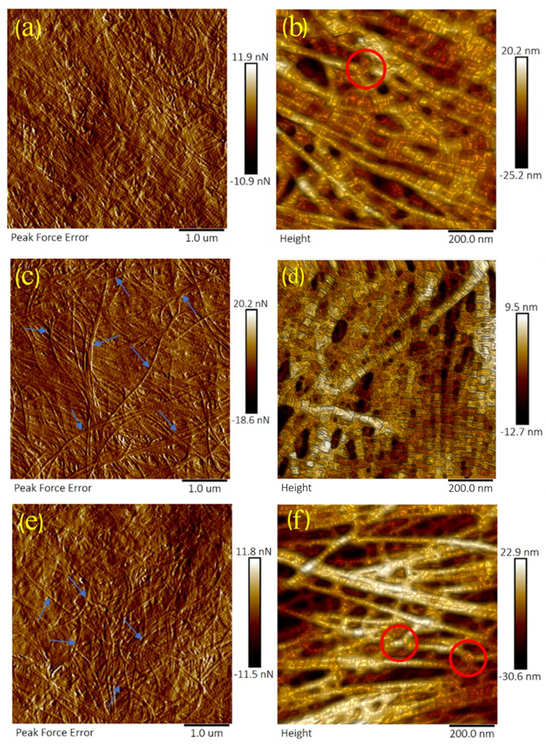 Sensors 21 01629 g003 Sensors 21 01629 g003