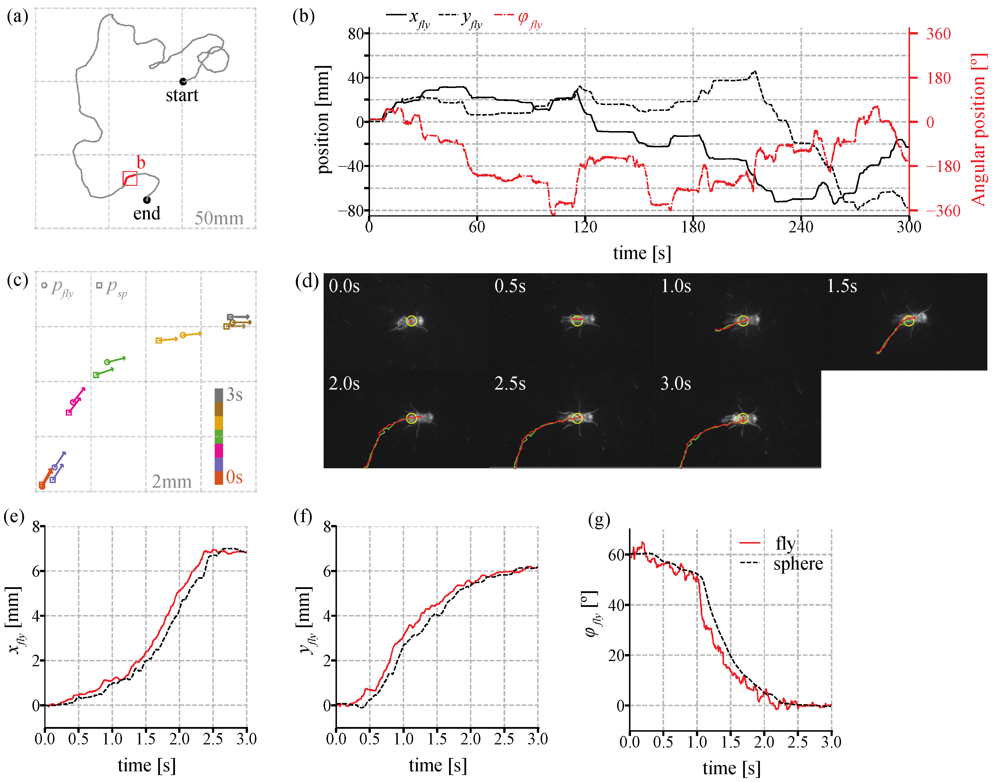 Sensors 21 01651 g007 Sensors 21 01651 g007