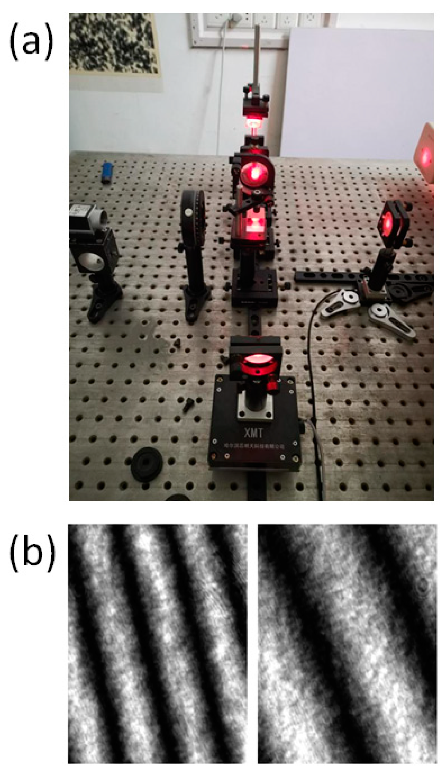 Sensors 21 01664 g010