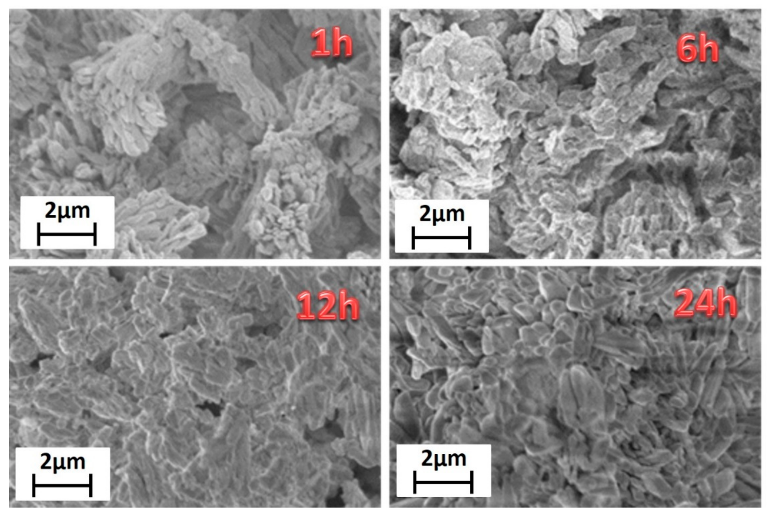 Sensors 21 01679 g002 Sensors 21 01679 g002