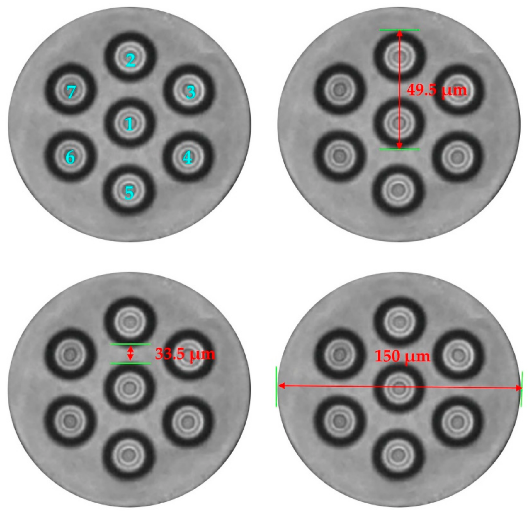 Sensors 21 01694 g005