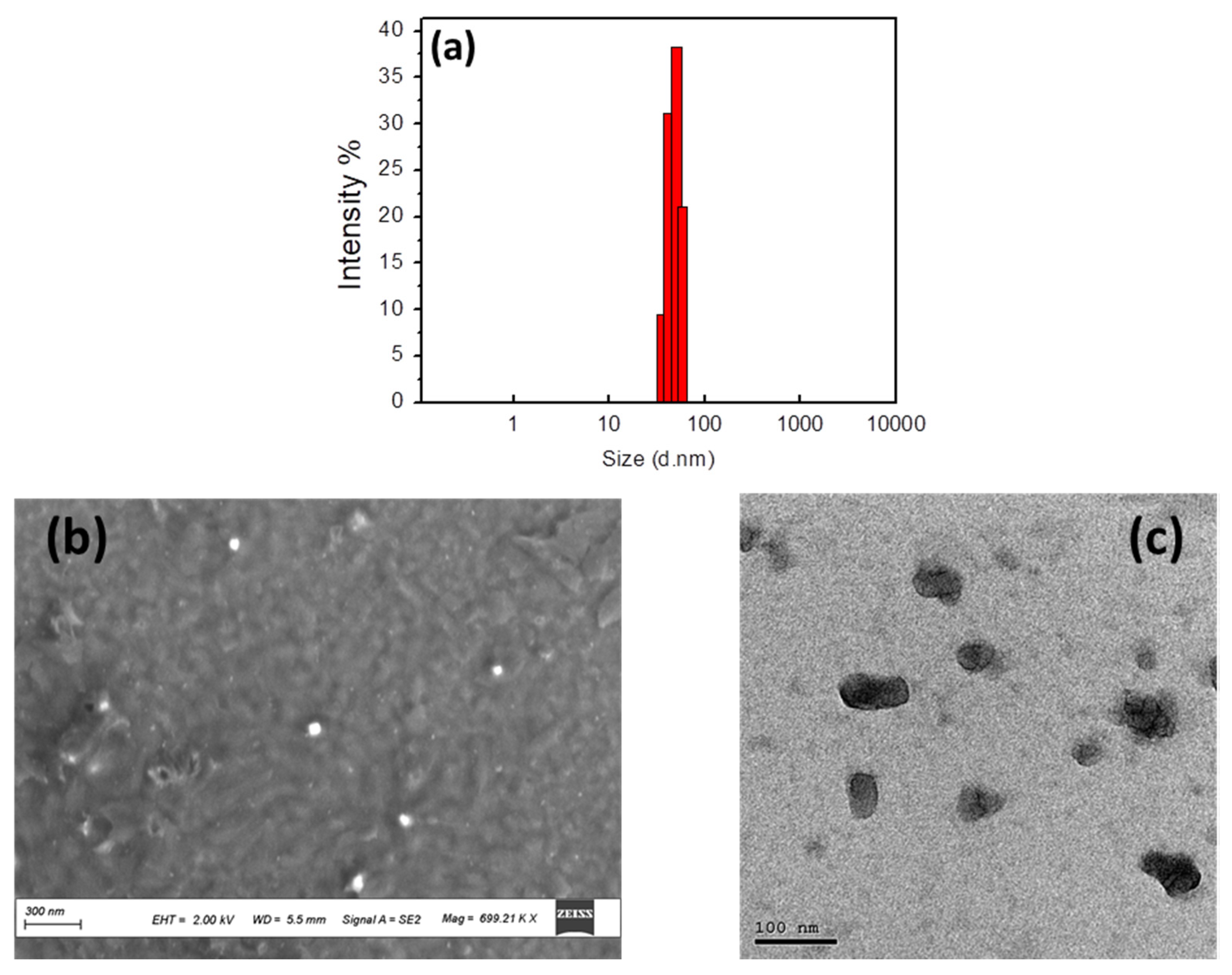 Sensors 21 01715 g001 Sensors 21 01715 g001