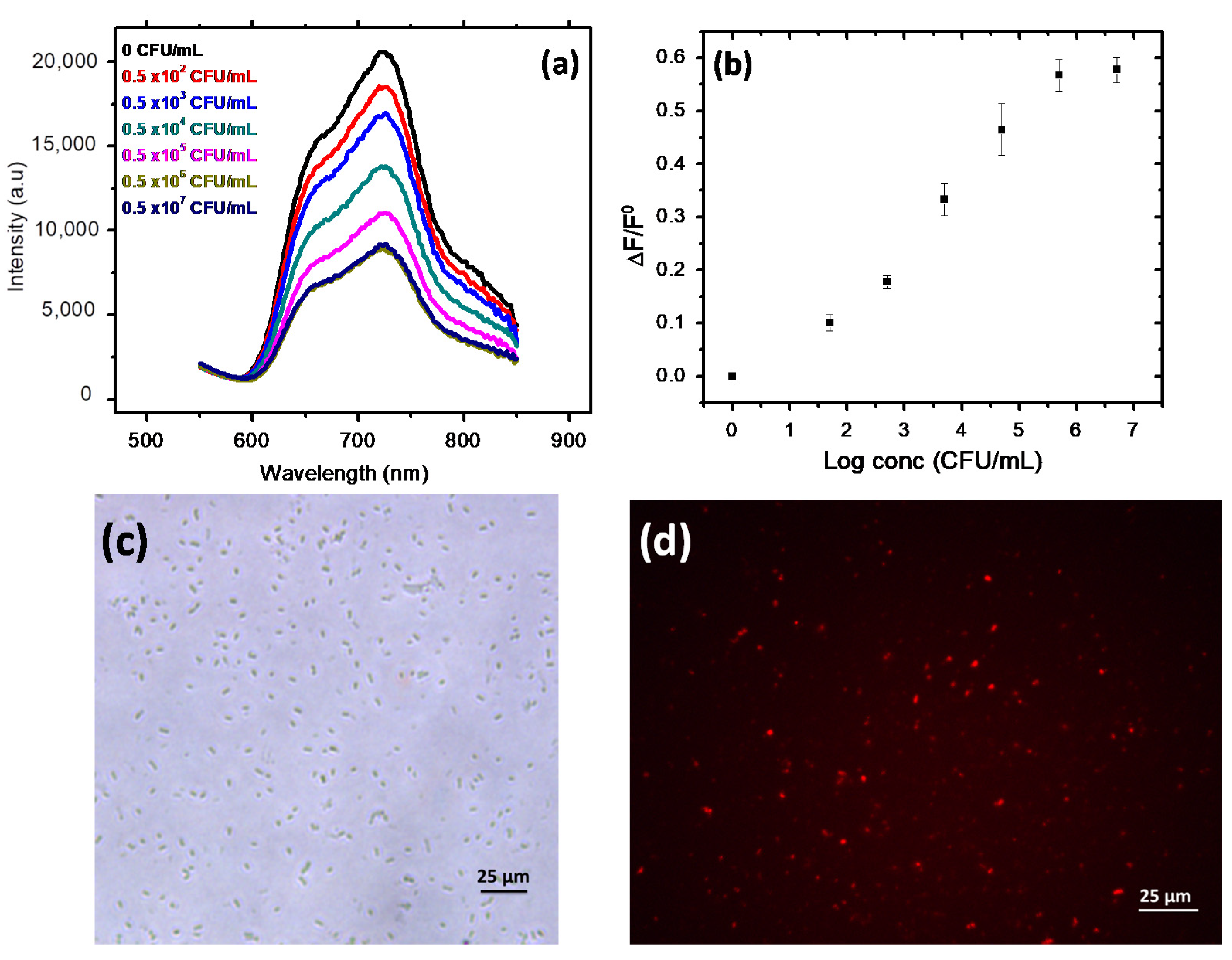 Sensors 21 01715 g003 Sensors 21 01715 g003