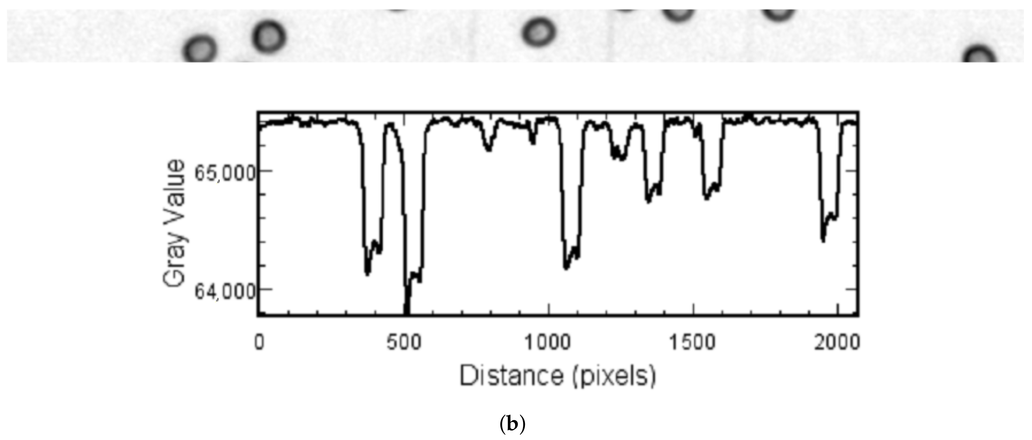 Sensors 21 01720 g005b Sensors 21 01720 g005b