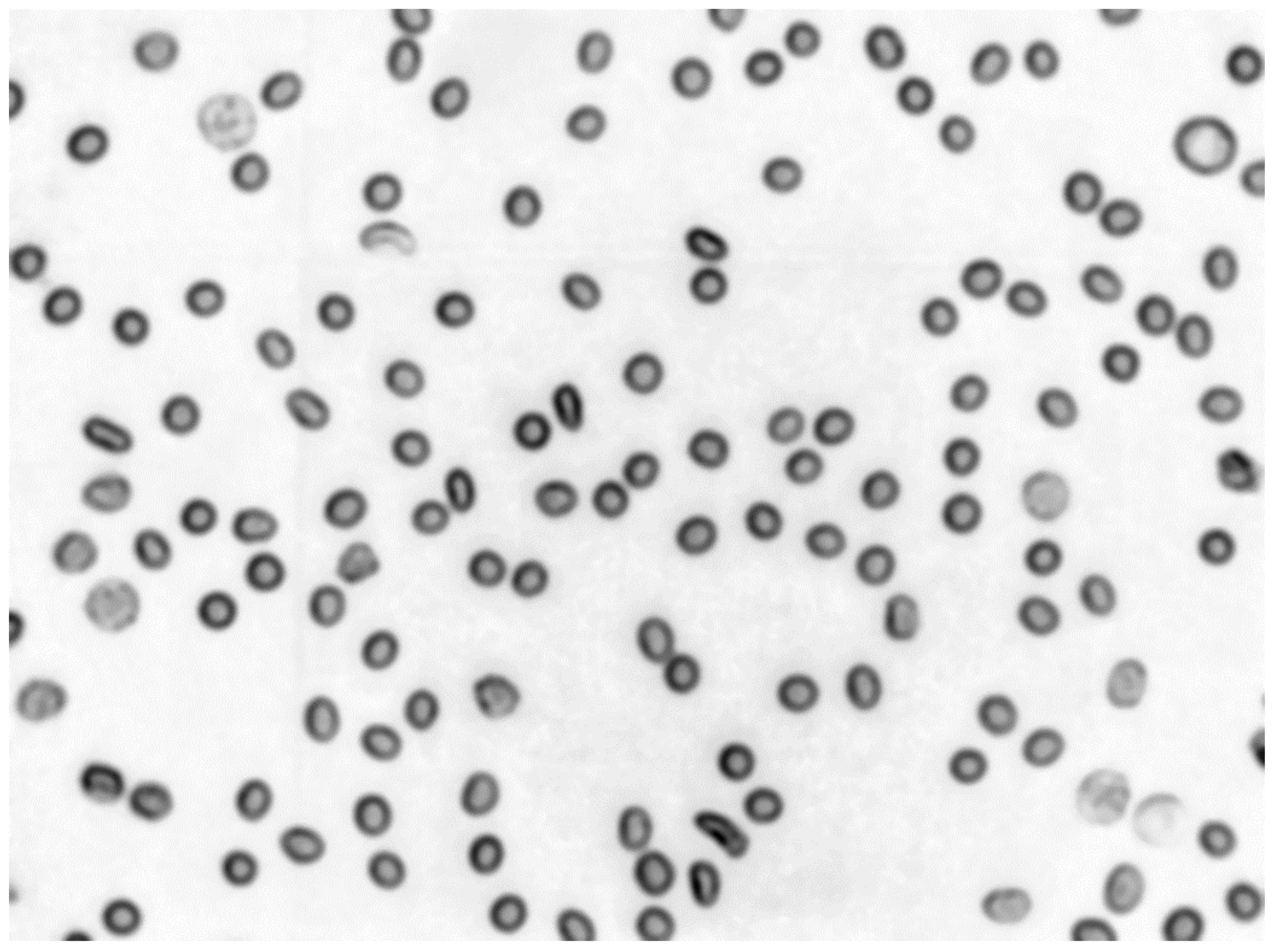 Sensors 21 01720 g009 Sensors 21 01720 g009