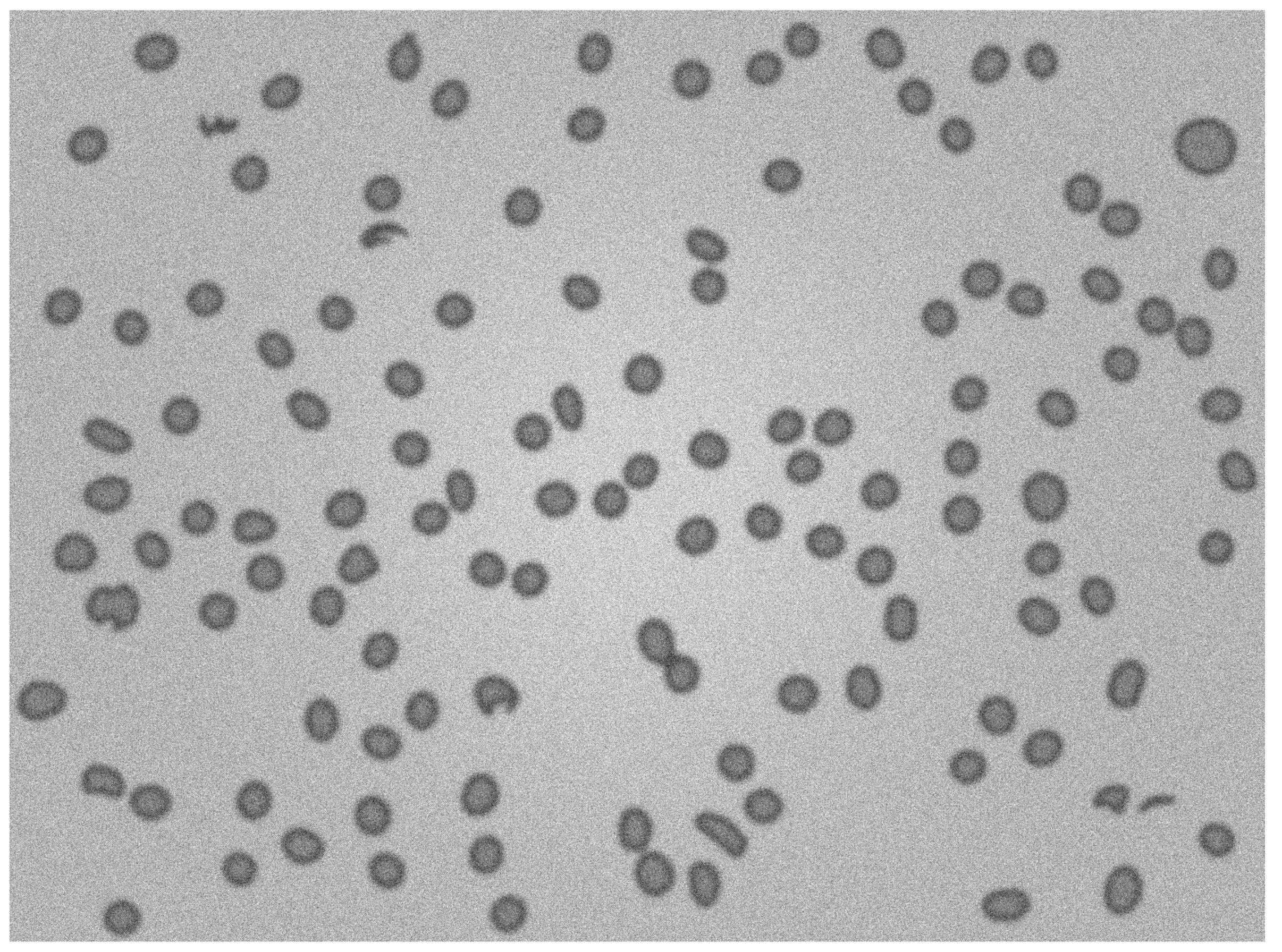 Sensors 21 01720 g019 Sensors 21 01720 g019