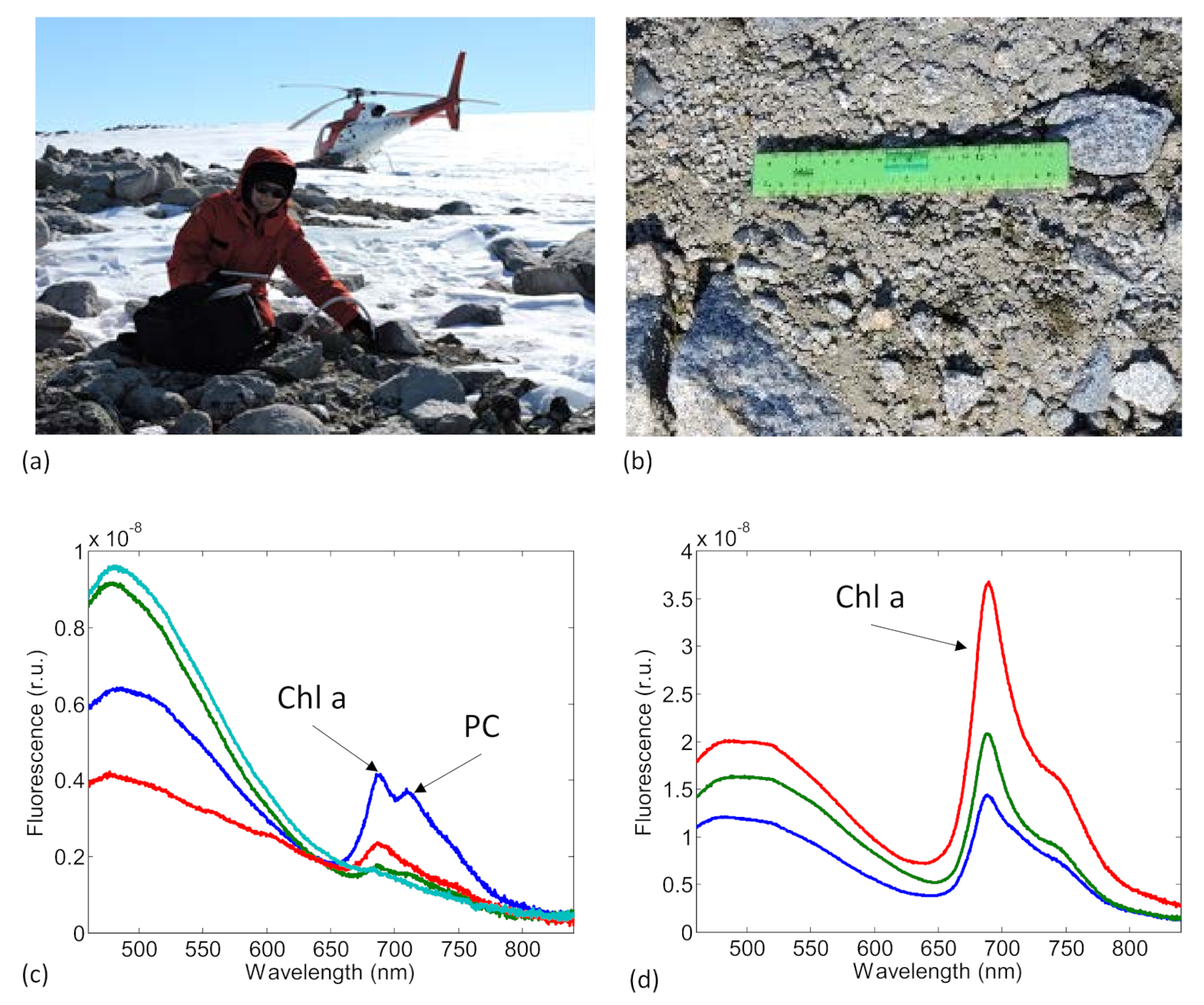 Sensors 21 01729 g004