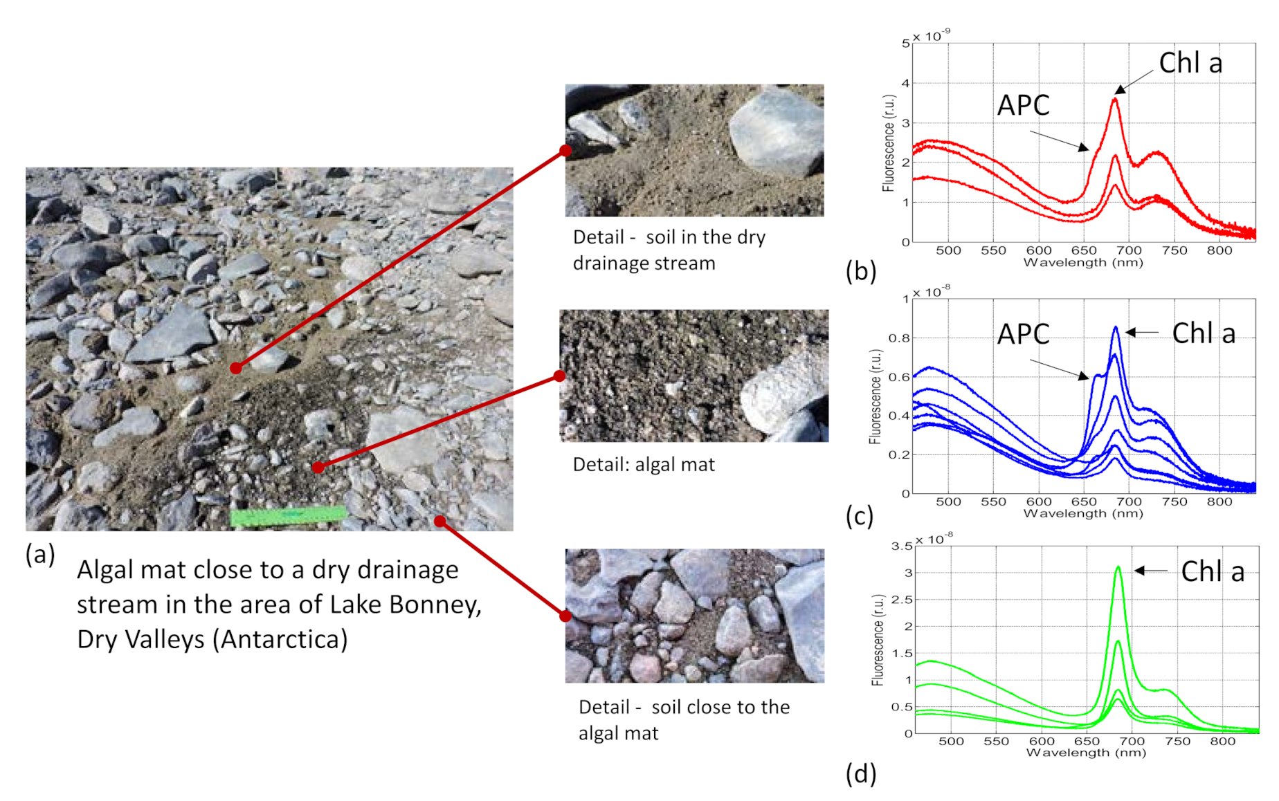 Sensors 21 01729 g005