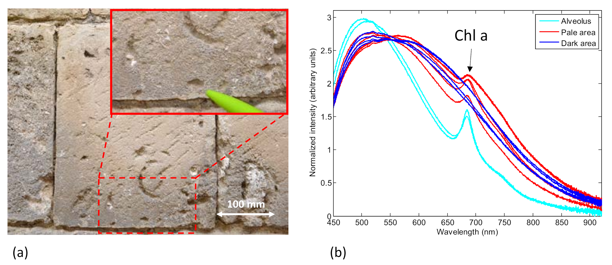 Sensors 21 01729 g007