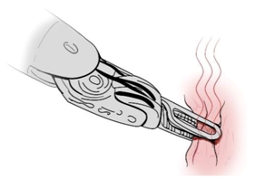 Sensors 21 01733 i001 Sensors 21 01733 i001