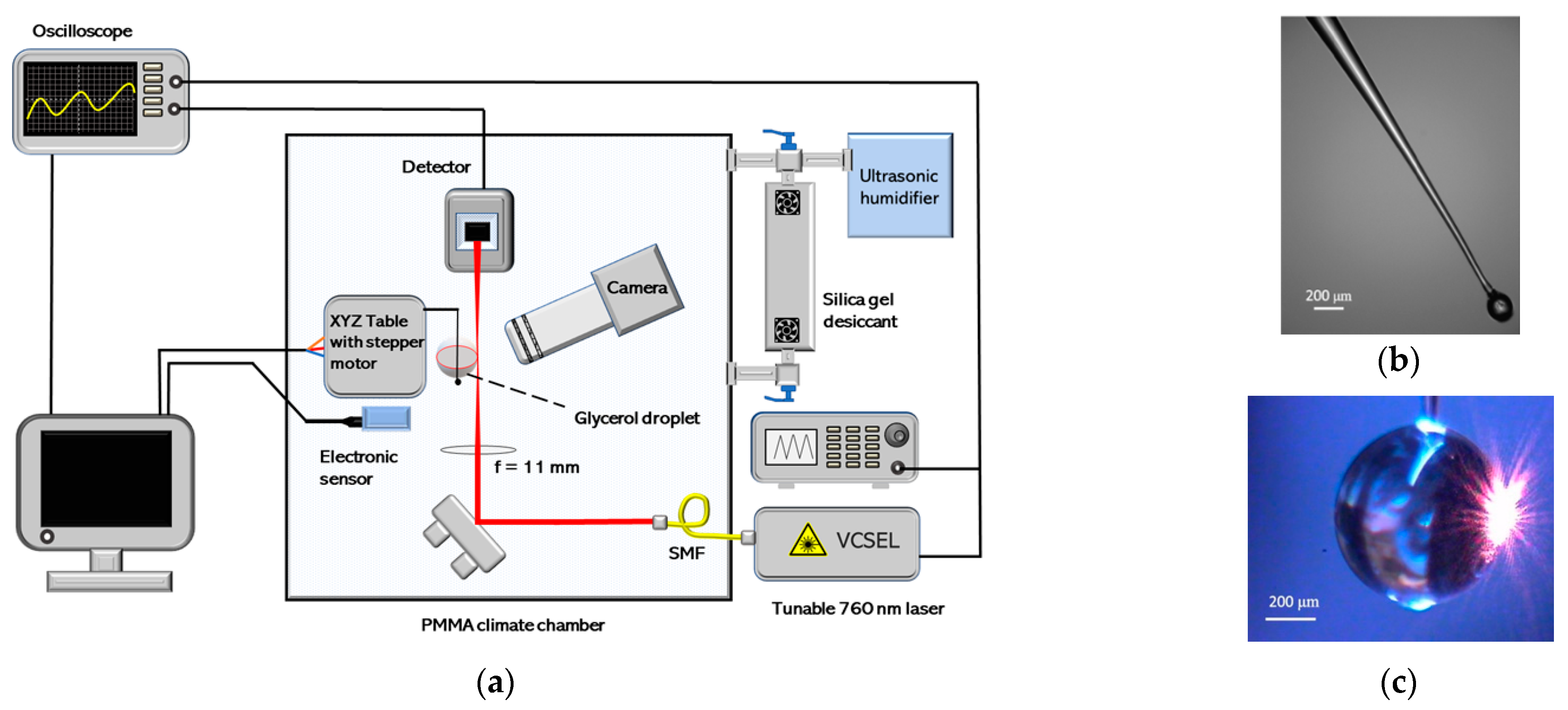 Sensors 21 01746 g002 Sensors 21 01746 g002