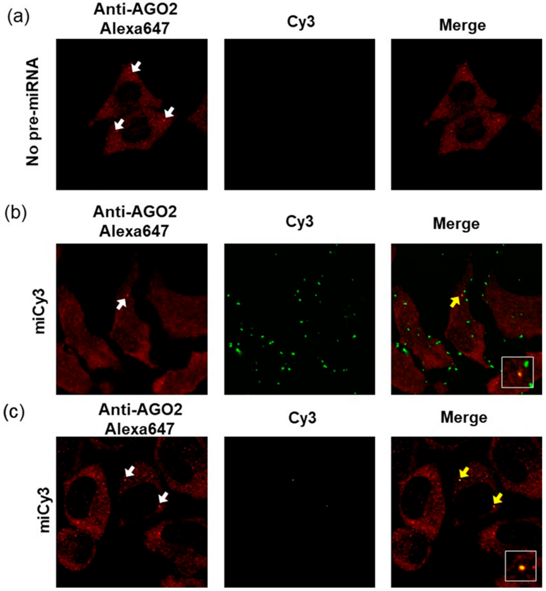 Sensors 21 01785 g005 Sensors 21 01785 g005