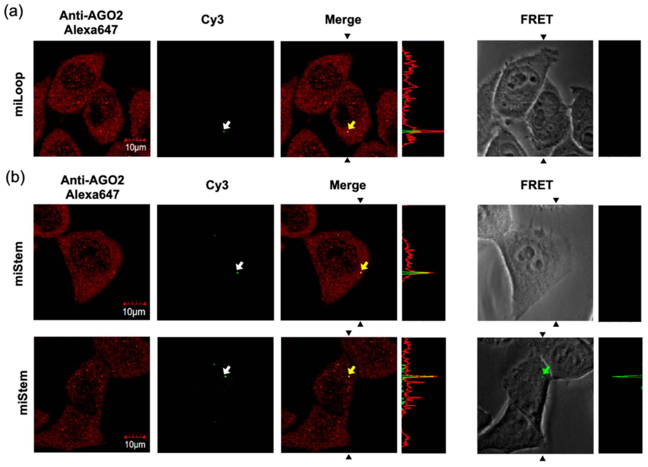 Sensors 21 01785 g006 Sensors 21 01785 g006