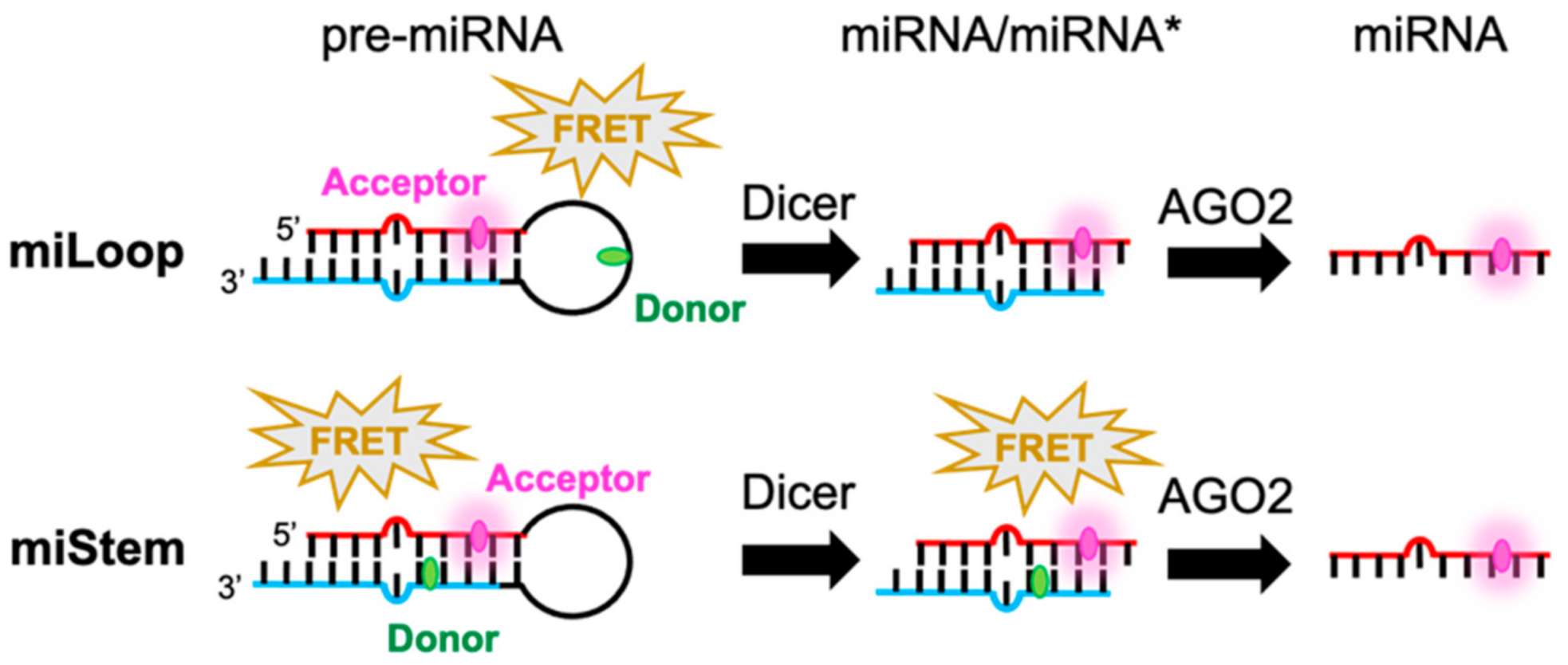 Sensors 21 01785 sch001 Sensors 21 01785 sch001