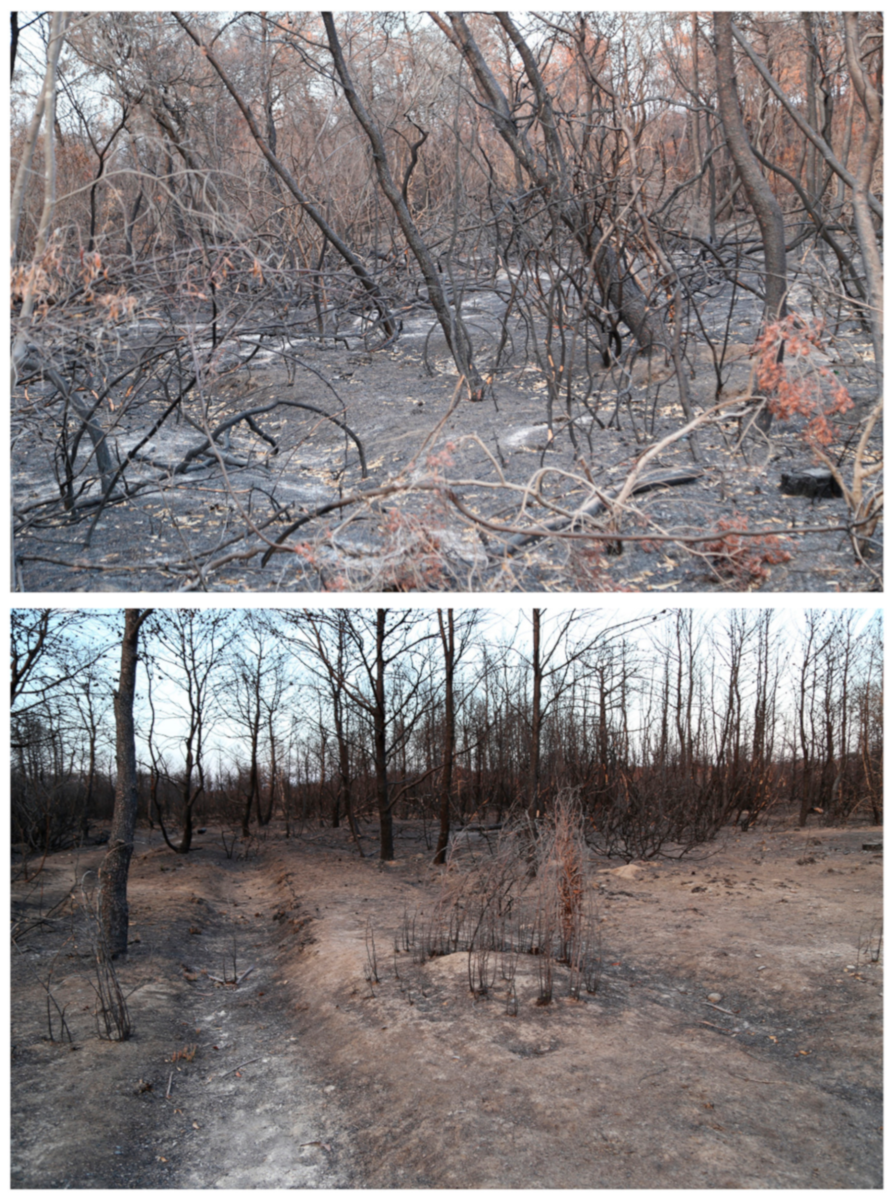 Sensors 21 01791 g004