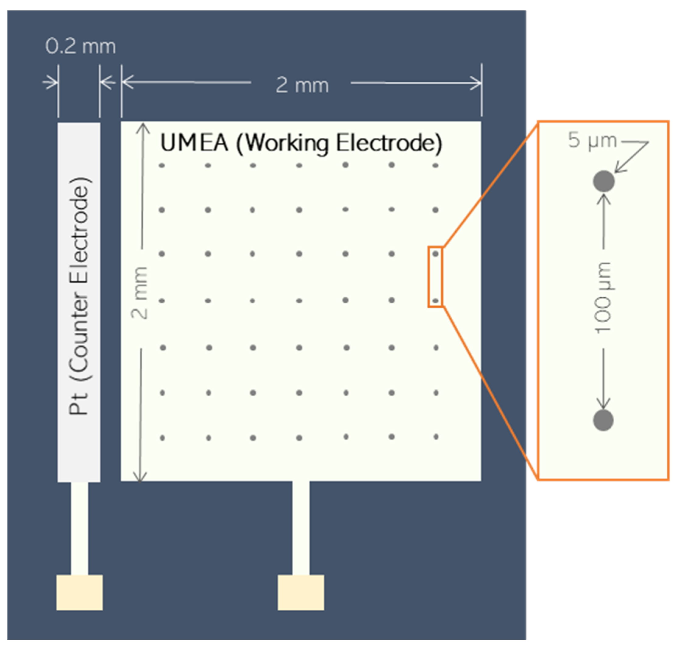 Sensors 21 01811 g001 Sensors 21 01811 g001