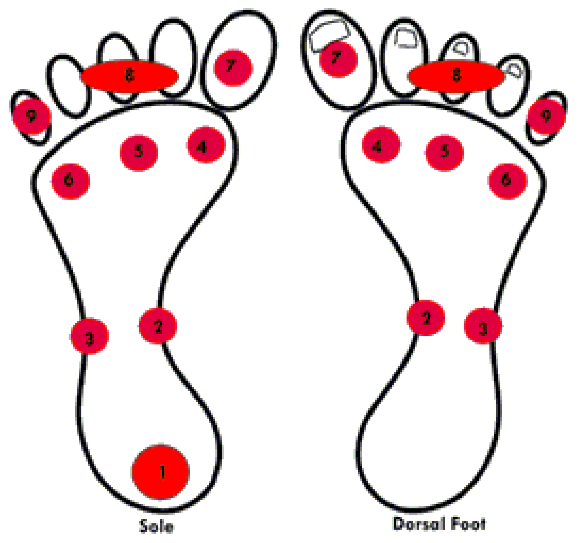 Sensors 21 01821 g002 Sensors 21 01821 g002