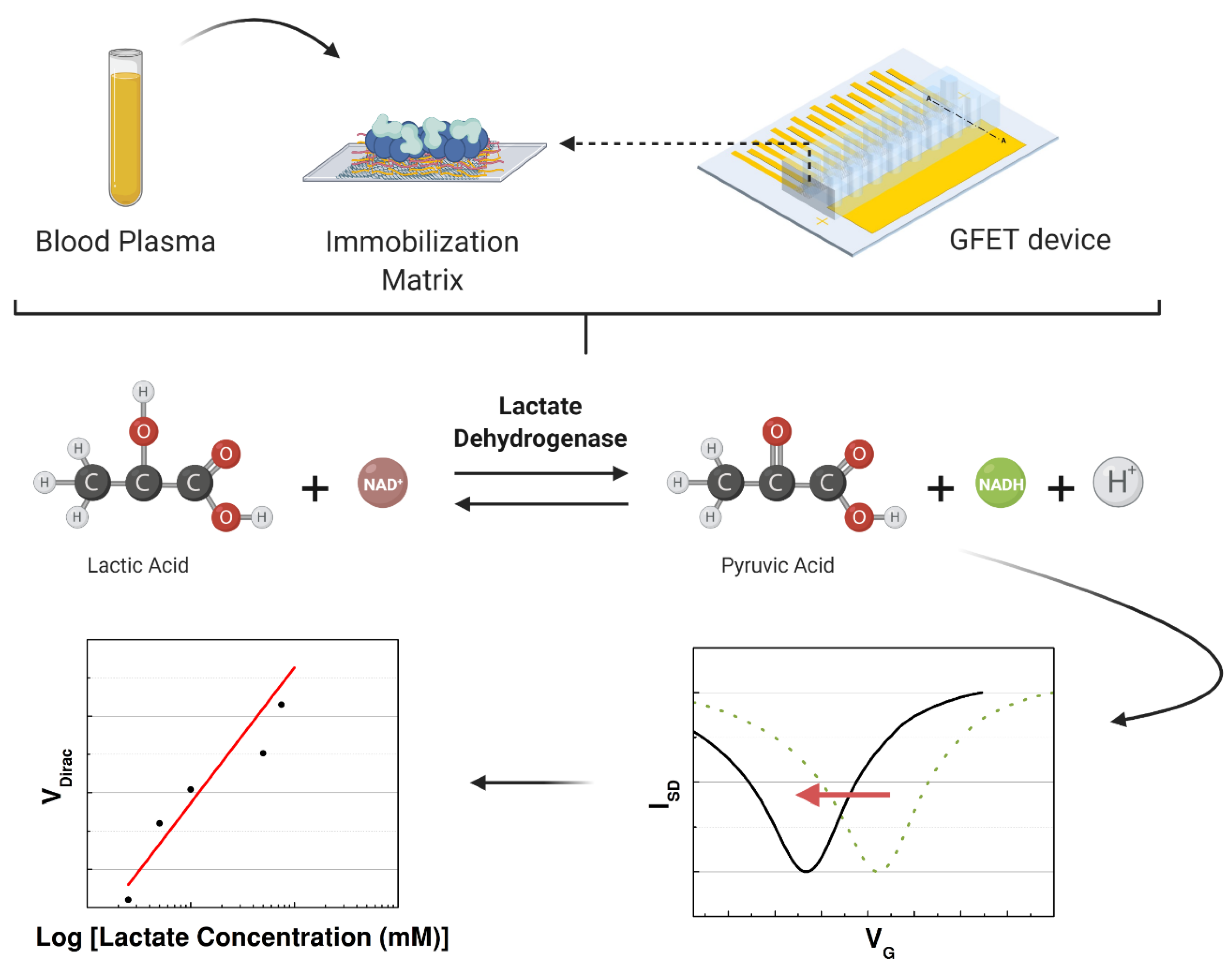 Sensors 21 01852 g003 Sensors 21 01852 g003
