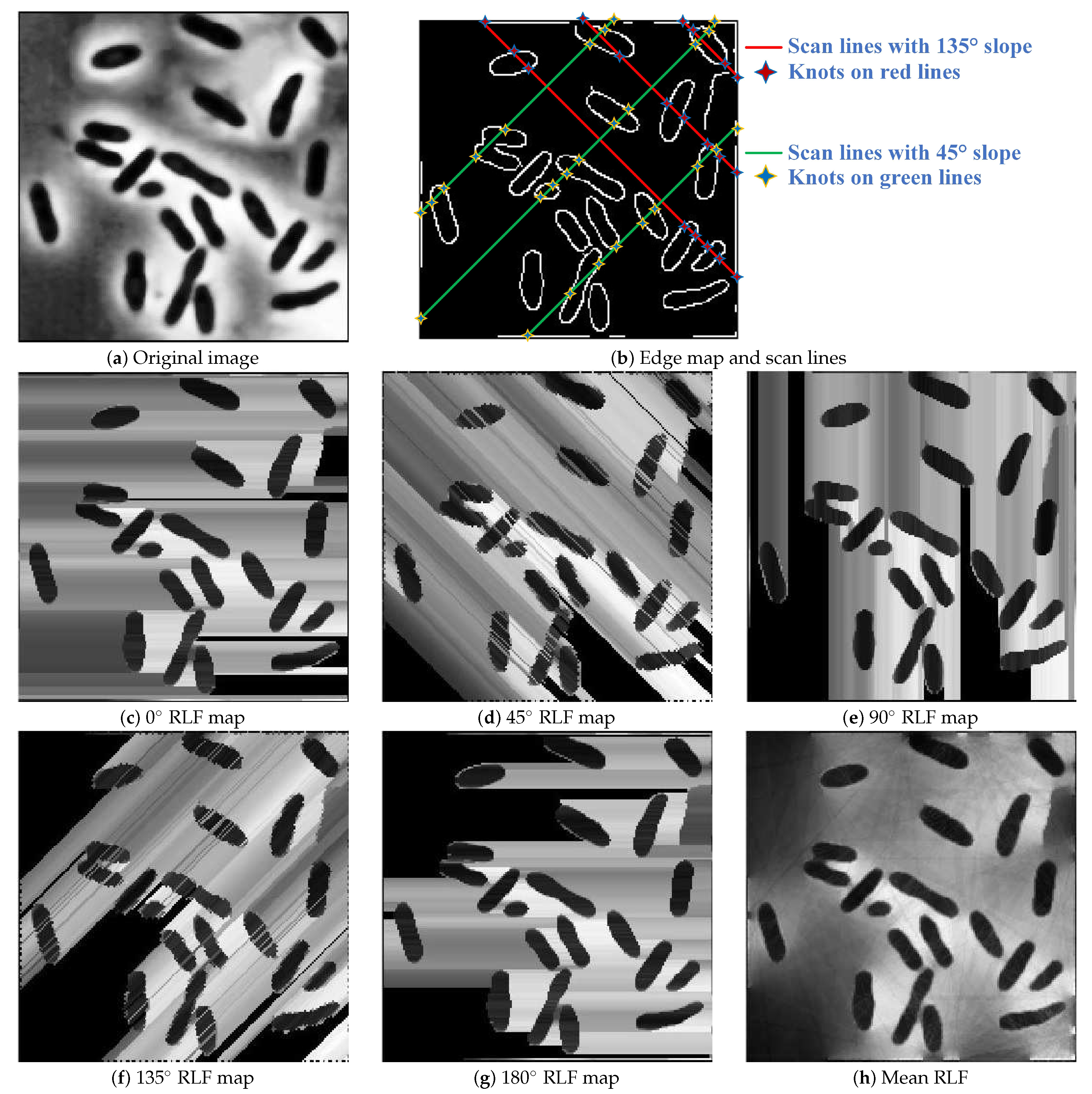 Sensors 21 01885 g002