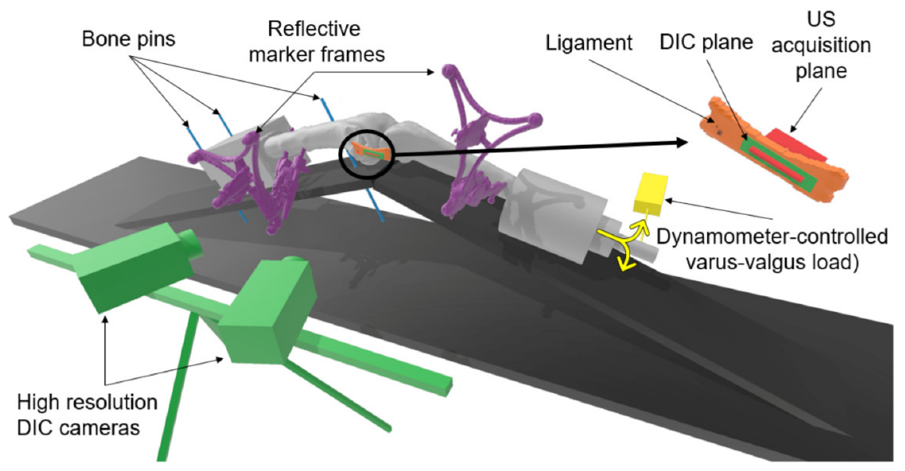 Sensors 21 01895 g001
