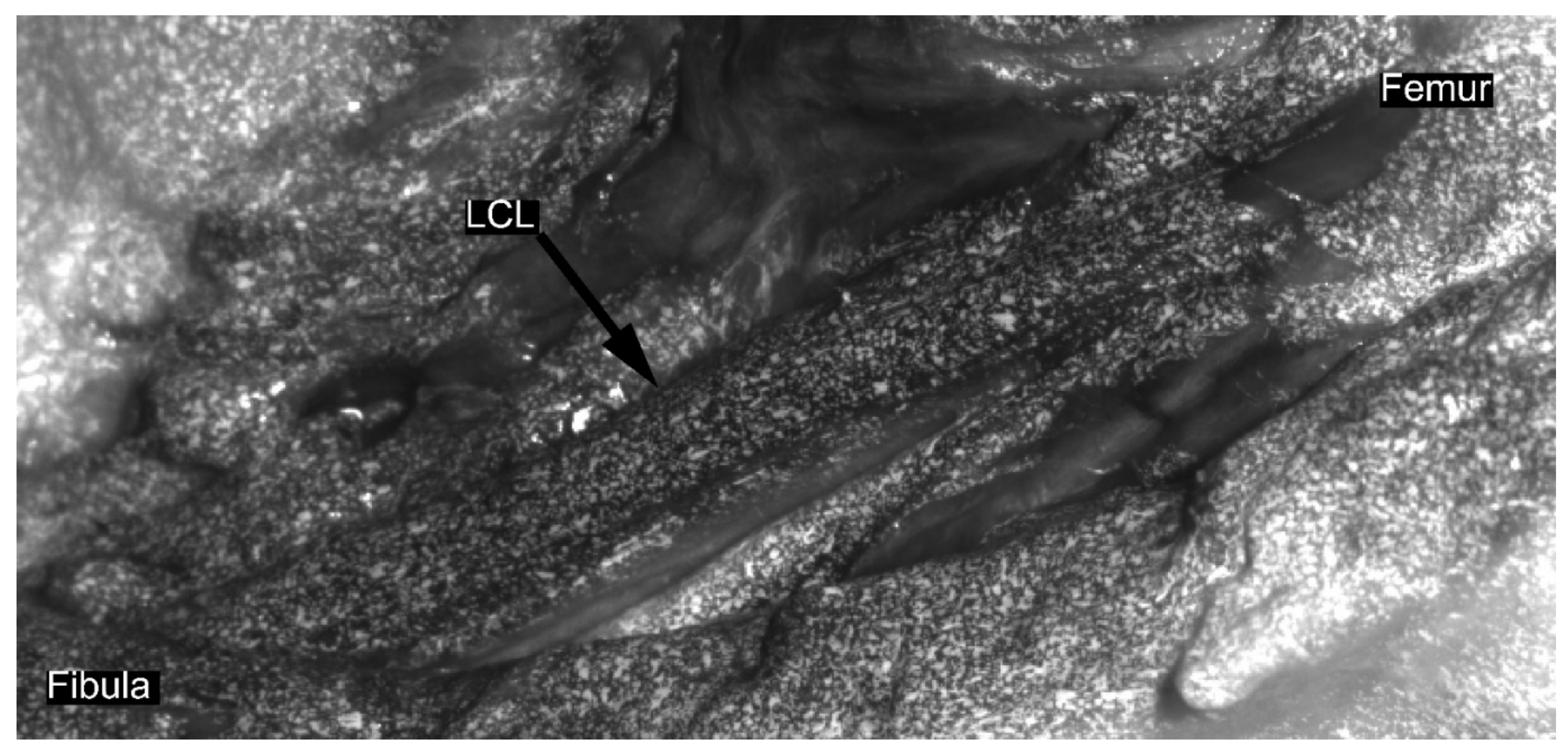 Sensors 21 01895 g002