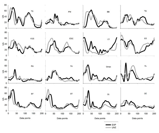 Sensors Free Full Text Intermuscular Coordination In The Power Clean Exercise Comparison Between Olympic Weightlifters And Untrained Individuals A Preliminary Study Html Sensors Free Full Text Intermuscular Coordination In The Power Clean Exercise Comparison Between Olympic Weightlifters And Untrained Individuals A Preliminary Study Html