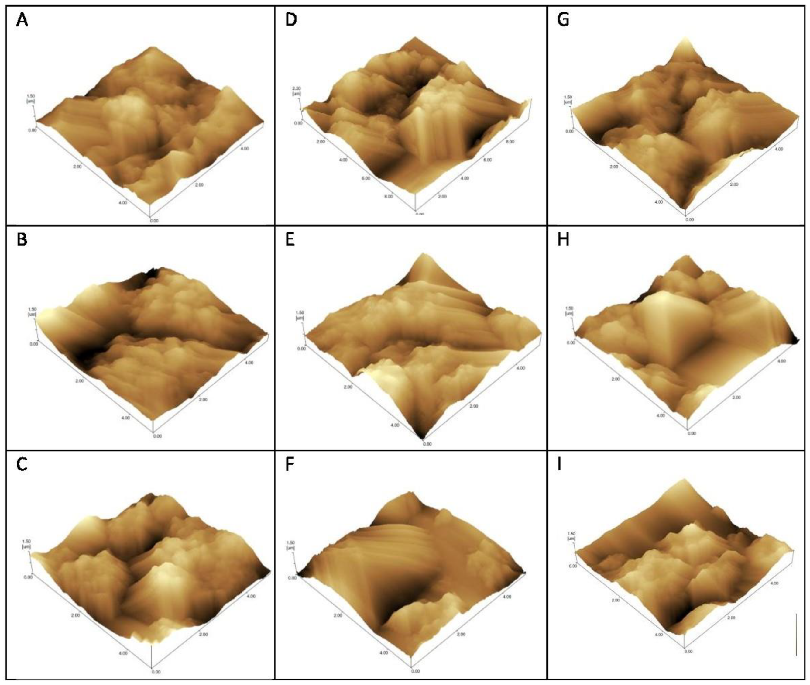 Sensors 21 01931 g004