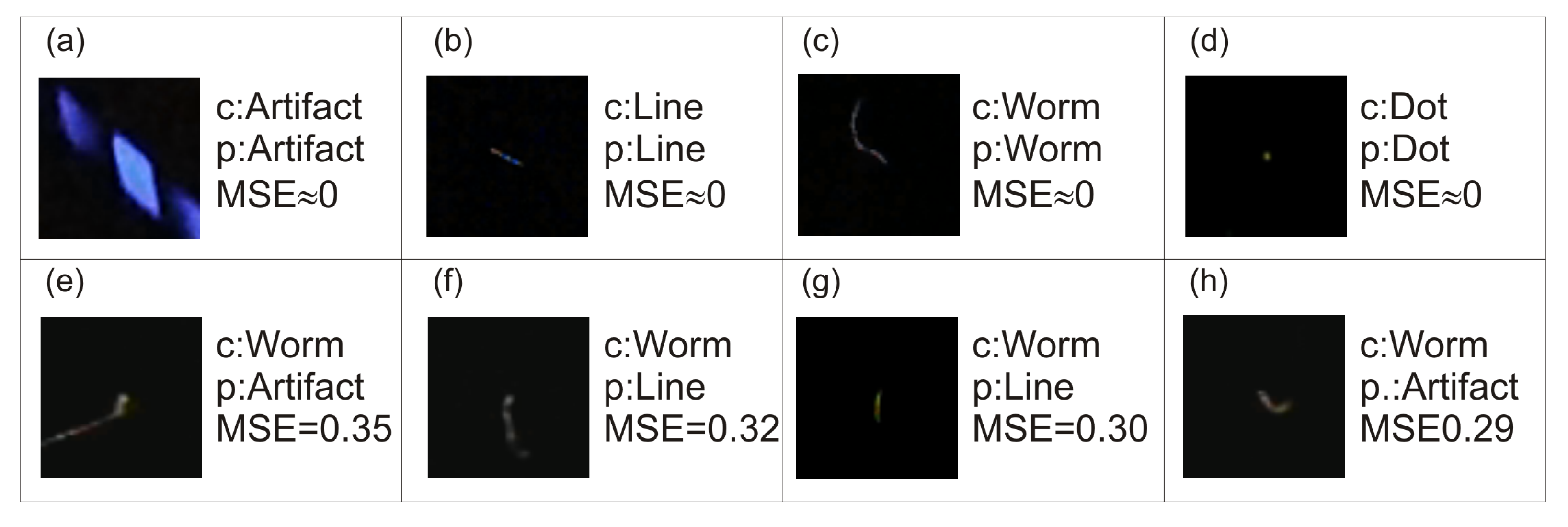 Sensors 21 01963 g006 Sensors 21 01963 g006