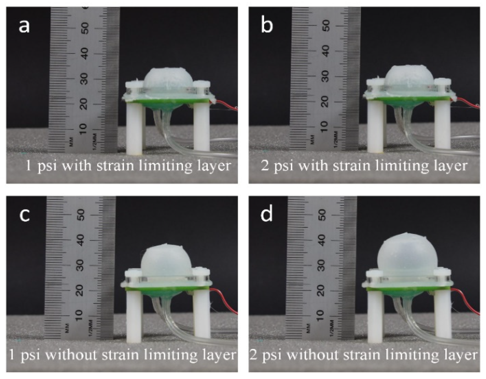 Sensors 21 01970 g003