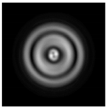 Sensors 21 01973 i050