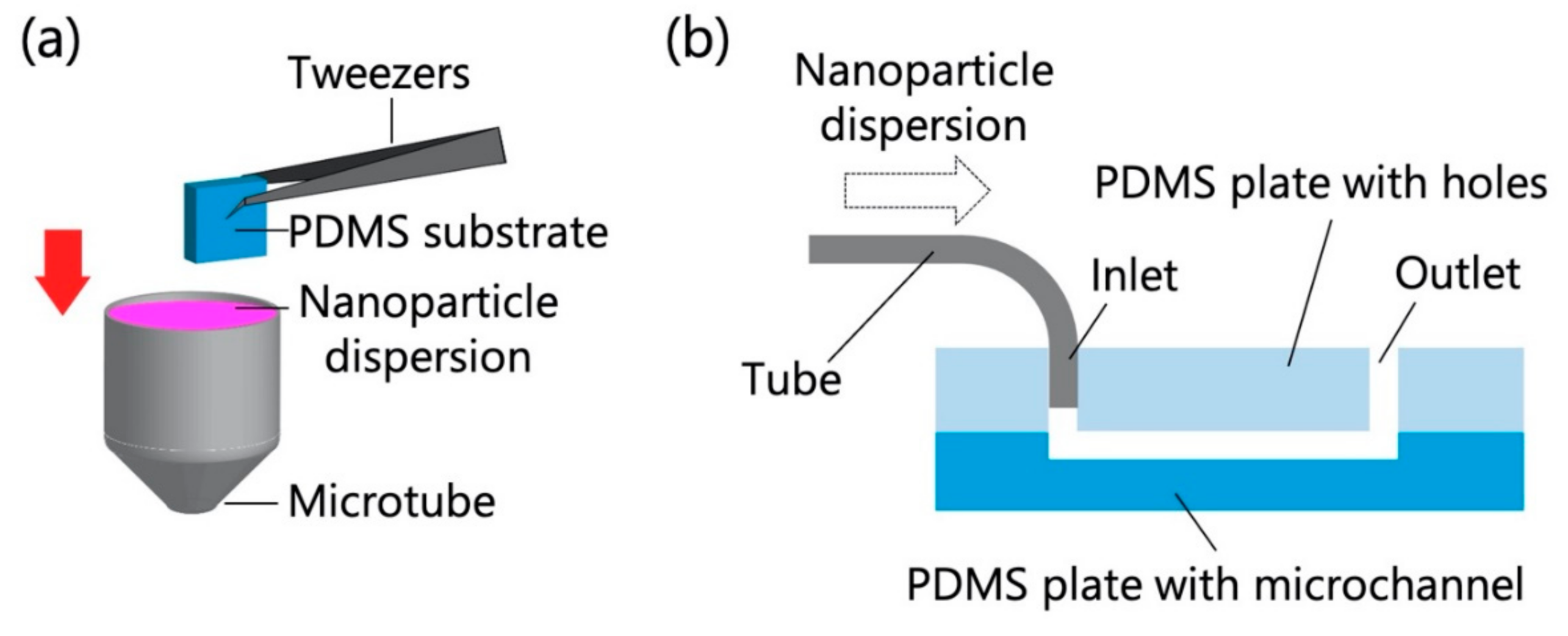 Sensors 21 01978 g001 Sensors 21 01978 g001