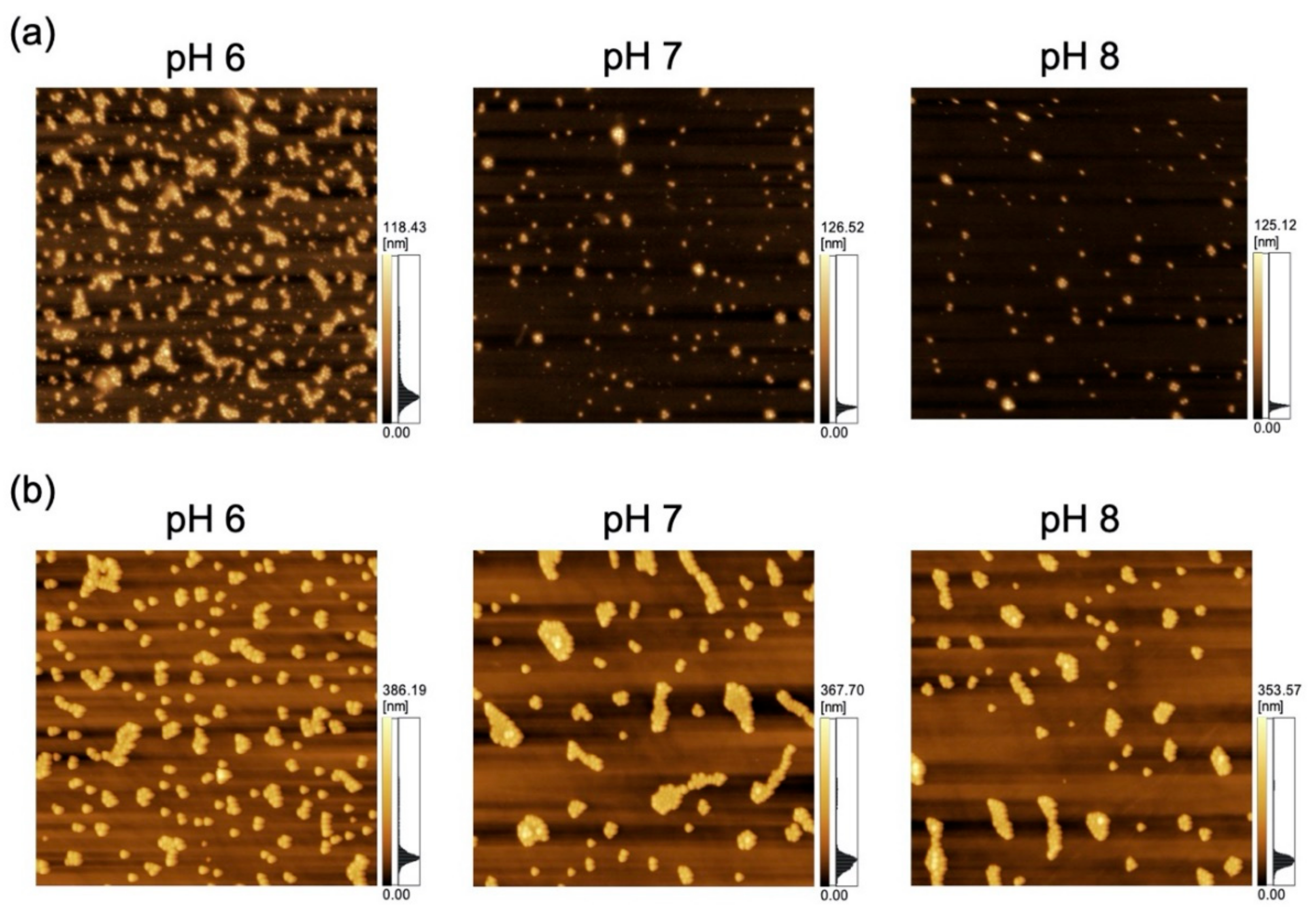 Sensors 21 01978 g002 Sensors 21 01978 g002