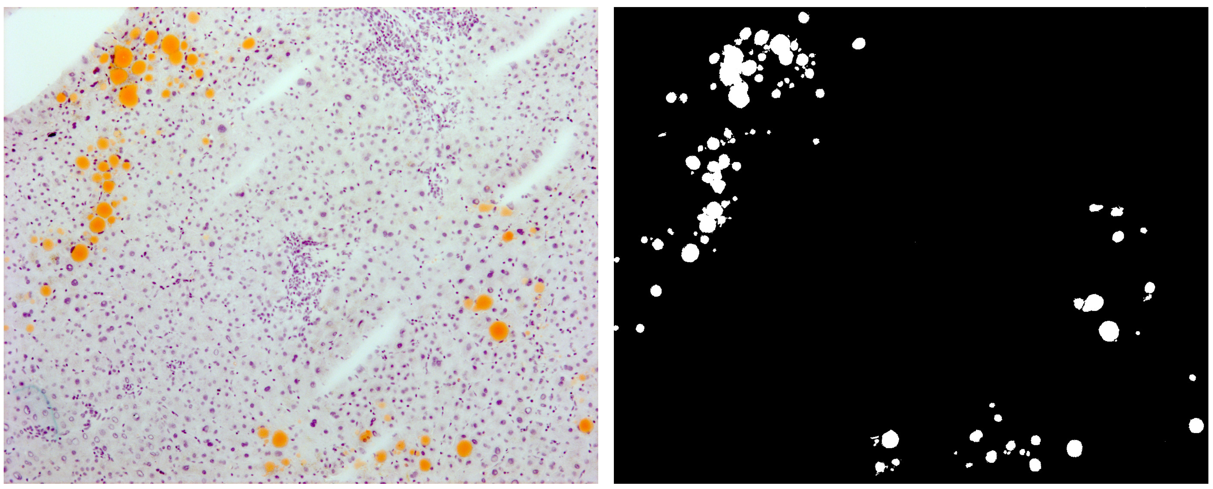 Sensors 21 01993 g005 Sensors 21 01993 g005