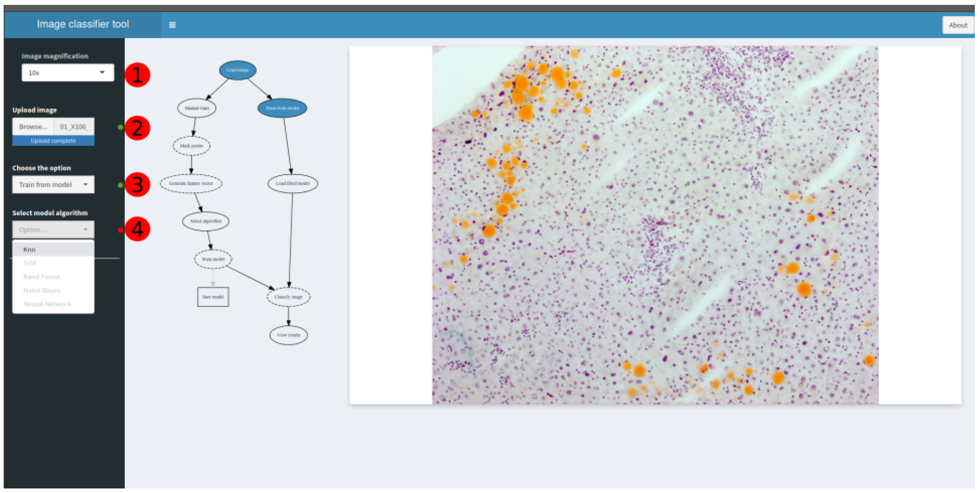 Sensors 21 01993 g006 Sensors 21 01993 g006