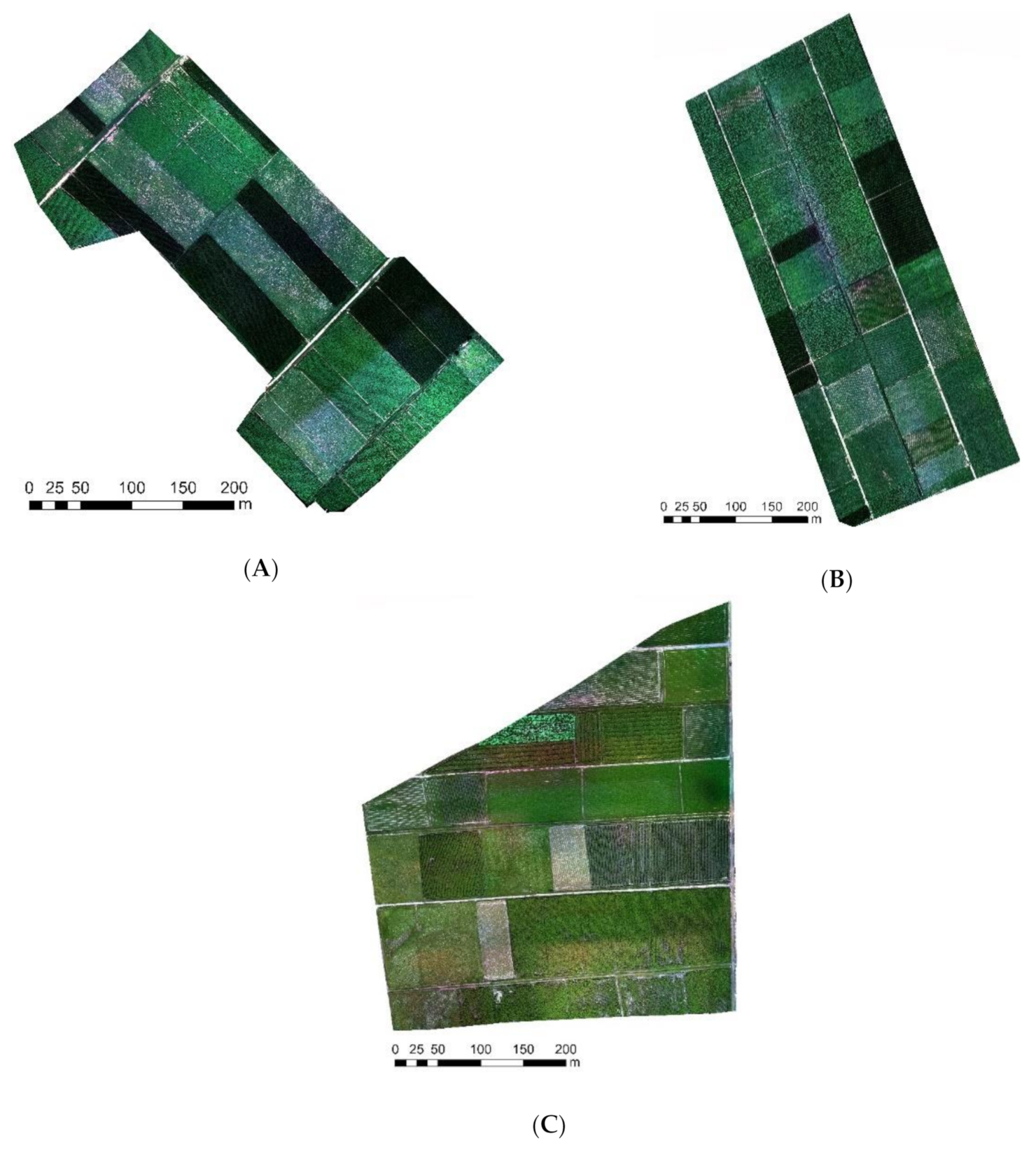 Sensors 21 01994 g002 Sensors 21 01994 g002