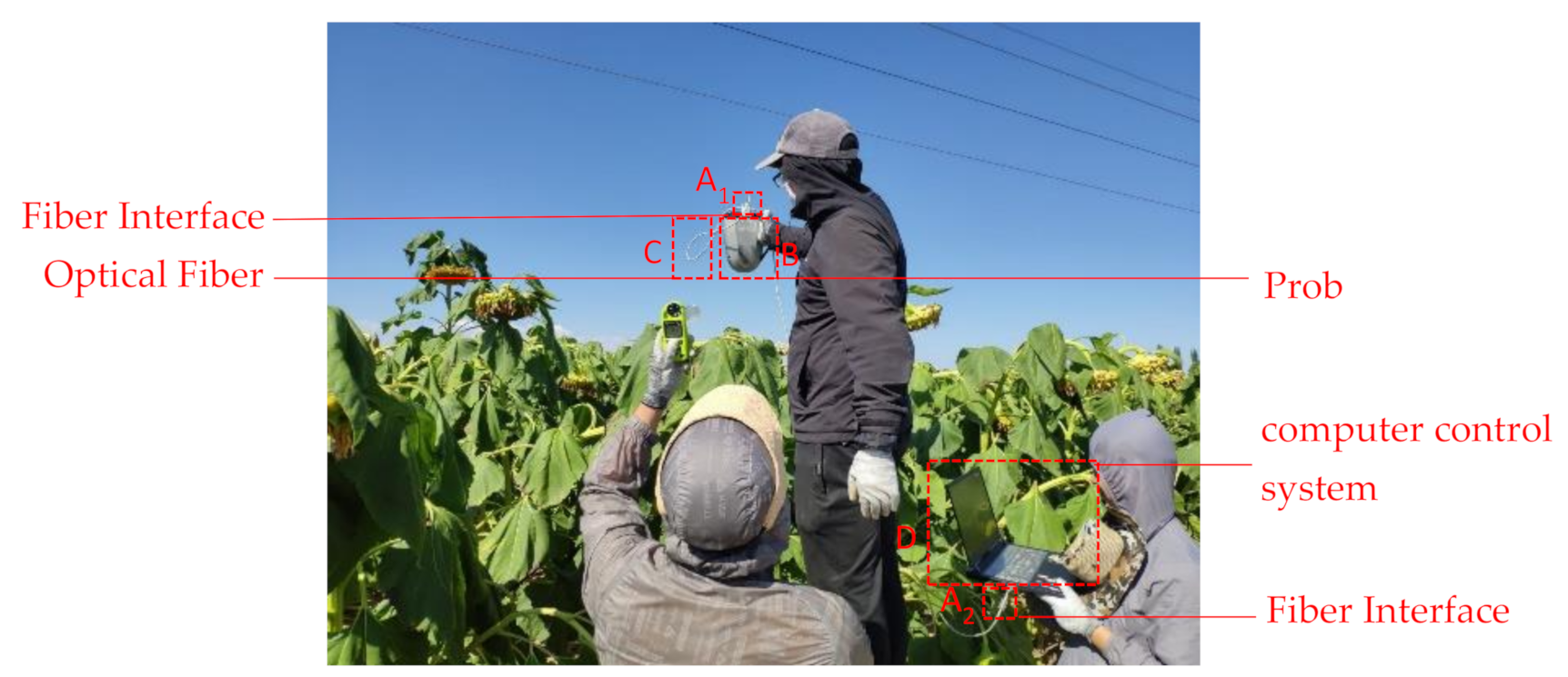 Sensors 21 01994 g004 Sensors 21 01994 g004