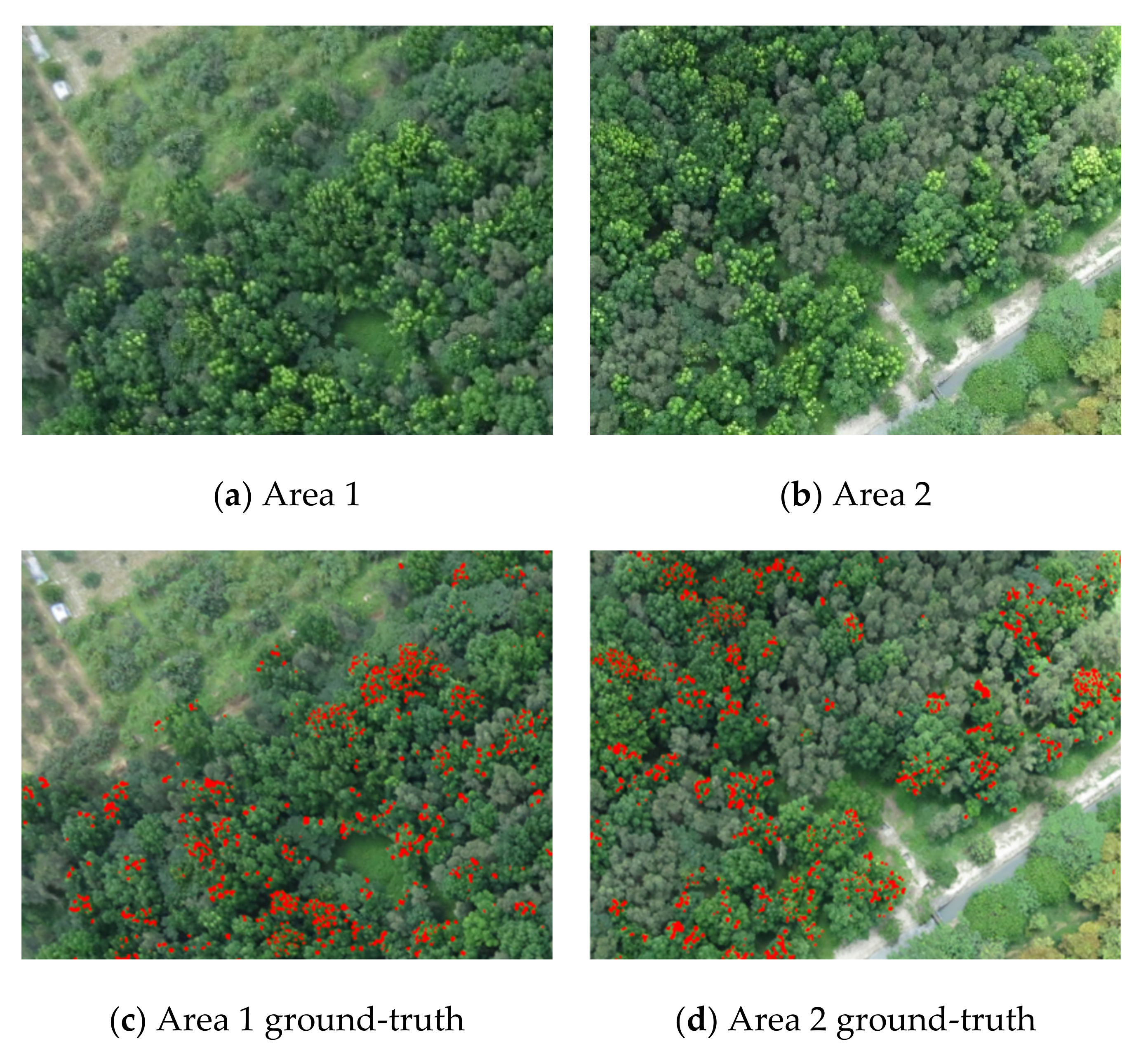Sensors 21 02077 g002