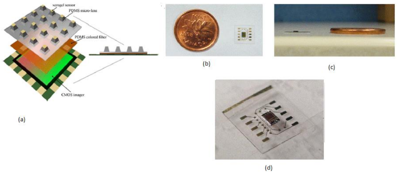 Sensors 21 02098 g005 Sensors 21 02098 g005