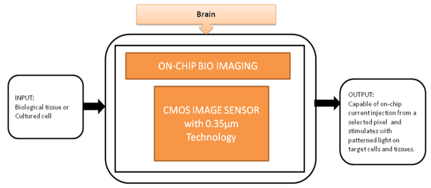 Sensors 21 02098 g017 Sensors 21 02098 g017