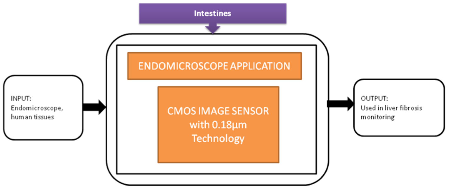 Sensors 21 02098 g027 Sensors 21 02098 g027