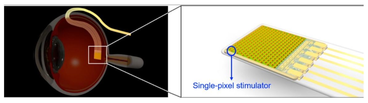 Sensors 21 02098 g029 Sensors 21 02098 g029