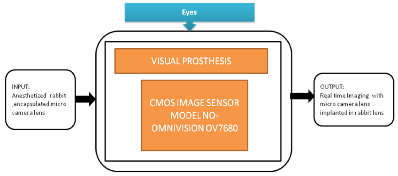 Sensors 21 02098 g031 Sensors 21 02098 g031